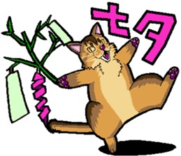 Abyssinian-Cat sticker #10382466