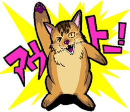 Abyssinian-Cat sticker #10382471