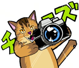 Abyssinian-Cat sticker #10382477
