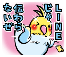 Wonderful talking of the parakeet 2 sticker #10382840