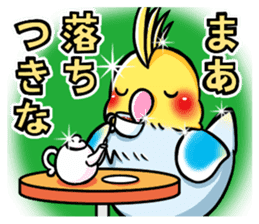 Wonderful talking of the parakeet 2 sticker #10382842