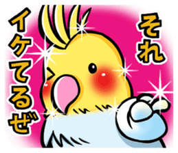 Wonderful talking of the parakeet 2 sticker #10382846