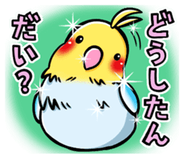 Wonderful talking of the parakeet 2 sticker #10382848