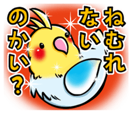 Wonderful talking of the parakeet 2 sticker #10382849