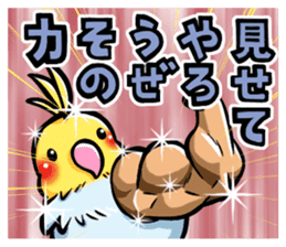 Wonderful talking of the parakeet 2 sticker #10382852