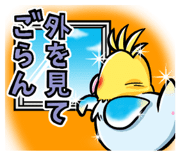 Wonderful talking of the parakeet 2 sticker #10382865