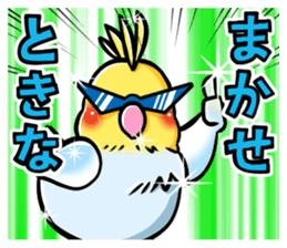 Wonderful talking of the parakeet 2 sticker #10382869