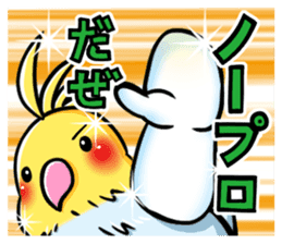 Wonderful talking of the parakeet 2 sticker #10382870