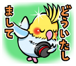 Wonderful talking of the parakeet 2 sticker #10382871