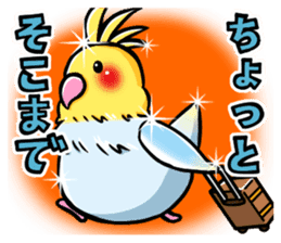 Wonderful talking of the parakeet 2 sticker #10382872