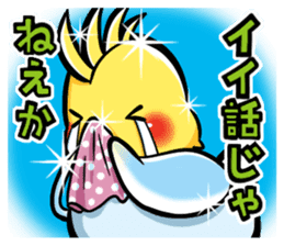 Wonderful talking of the parakeet 2 sticker #10382875