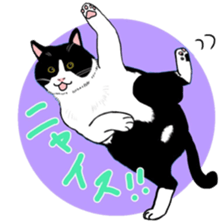 Hachi and Coro 2 with friends sticker #10383925