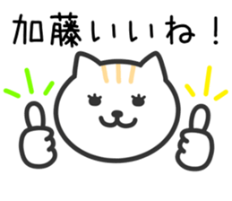 Cat TO KATO sticker #10384122