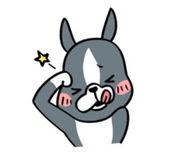 BostonTerrier! 2 sticker #10387626