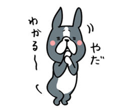 BostonTerrier! 2 sticker #10387628