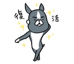 BostonTerrier! 2 sticker #10387641
