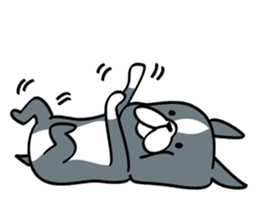 BostonTerrier! 2 sticker #10387643