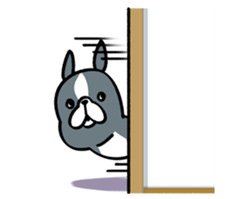 BostonTerrier! 2 sticker #10387647