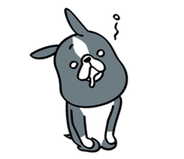 BostonTerrier! 2 sticker #10387648