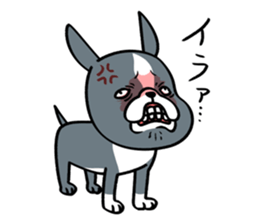 BostonTerrier! 2 sticker #10387654