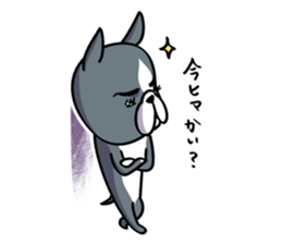 BostonTerrier! 2 sticker #10387658