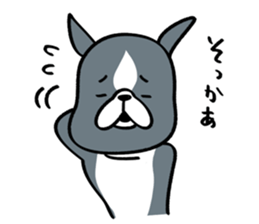 BostonTerrier! 2 sticker #10387659
