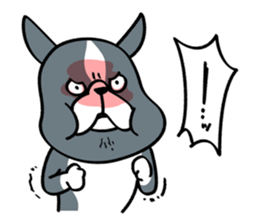 BostonTerrier! 2 sticker #10387660