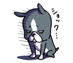 BostonTerrier! 2 sticker #10387662