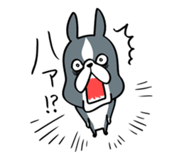 BostonTerrier! 2 sticker #10387663