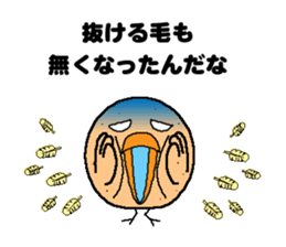 Bald bird three brothers 2 sticker #10388994