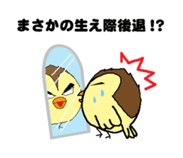 Bald bird three brothers 2 sticker #10388998