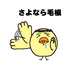 Bald bird three brothers 2 sticker #10389000