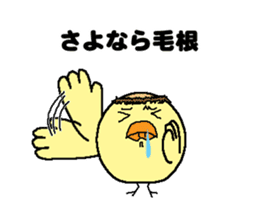 Bald bird three brothers 2 sticker #10389000