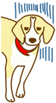 Handsome Beagle "REN" sticker #10392274