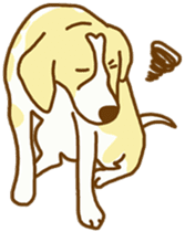 Handsome Beagle "REN" sticker #10392283