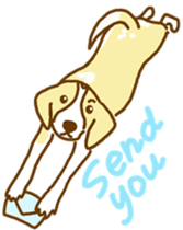 Handsome Beagle "REN" sticker #10392296