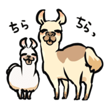 Cute & Ugly Llama! sticker #10393688