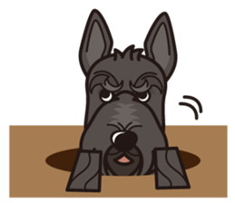iinu - Scottish Terrier sticker #10393915