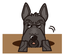 iinu - Scottish Terrier sticker #10393915
