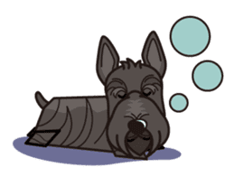 iinu - Scottish Terrier sticker #10393925