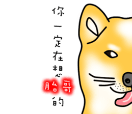 Counter Attack of Shiba Inu sticker #10394705