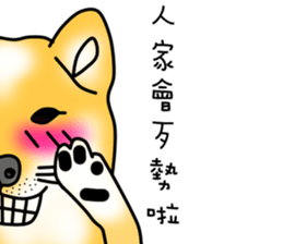 Counter Attack of Shiba Inu sticker #10394713