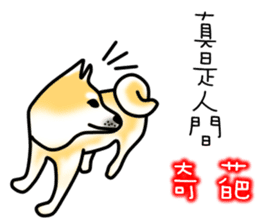 Counter Attack of Shiba Inu sticker #10394732