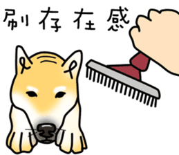 Counter Attack of Shiba Inu sticker #10394736