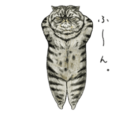 Strange world of cats 3 sticker #10395148