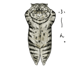 Strange world of cats 3 sticker #10395148