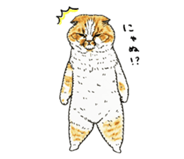 Strange world of cats 3 sticker #10395150