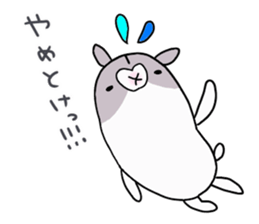 ham chaaaaaaan sticker #10396688