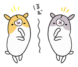 ham chaaaaaaan sticker #10396698