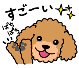 Cute! Poodle Stickers sticker #10396712
